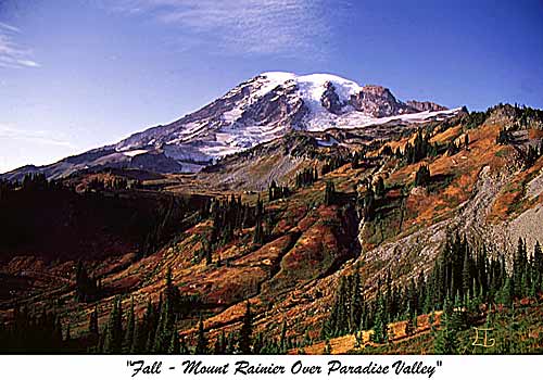 Fall Mt. Rainier over Paradise Valley