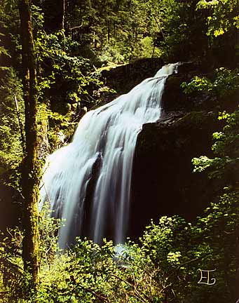 Little Mashel Falls